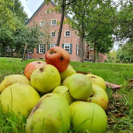 Lejlighed Gulfhof Boomgaarden 9 Hinrich *
