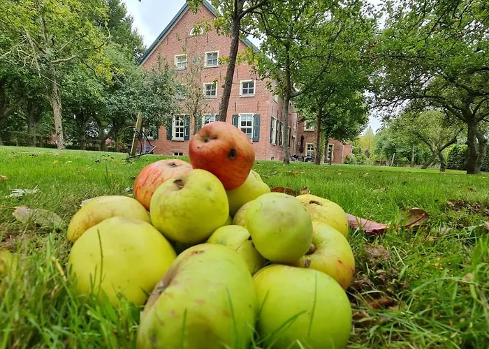 شقة Gulfhof Boomgaarden Boomgaarden 9 Hinrich *